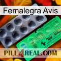 Femalegra Avis new04